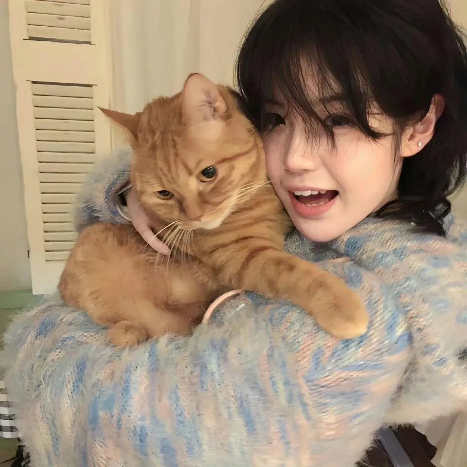 野猫